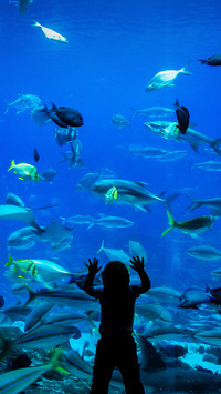 水族馆