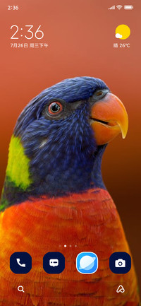 colorful bird