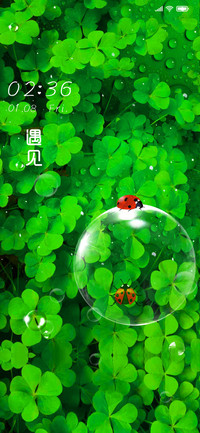 遇见幸运草绿色护眼
