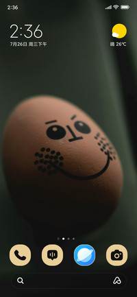 Brown Egg