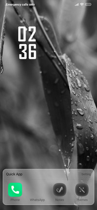 Rain