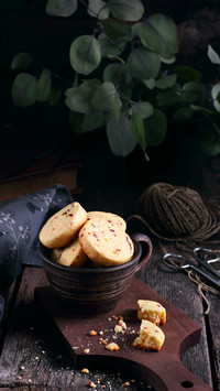 Homemade delicious cranberry biscuit 5