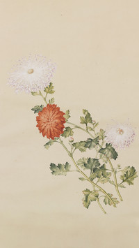 清代花鸟画作品赏鉴