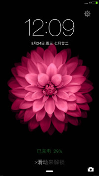 多色花
