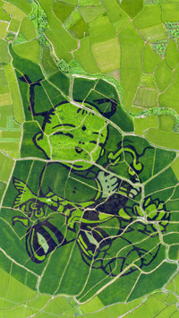Do you know Earth Art 73