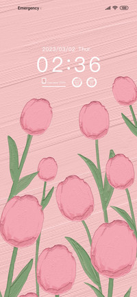Romantic tulips