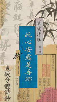 苏轼诗词赏析