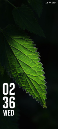Dark Leaf