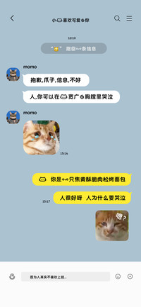 小猫喜欢可爱的你