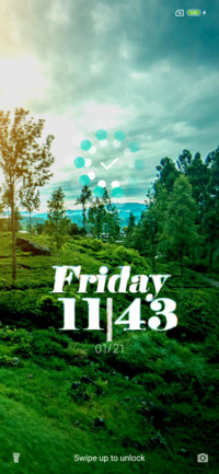 Jungle Srilanka