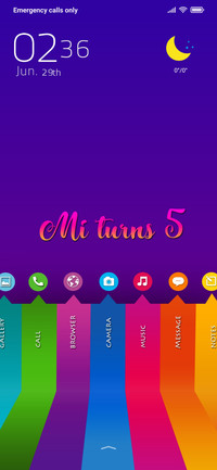 Mi Turns 5 (30)