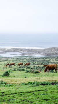 international_scenery (11)