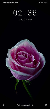 Rose_3MDS