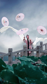 游园惊梦