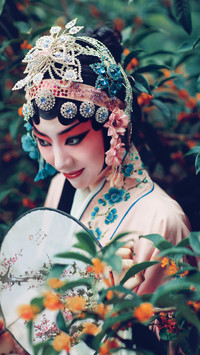 游园惊梦