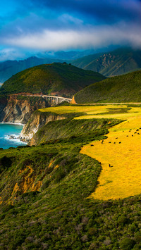 Scenery  (7)