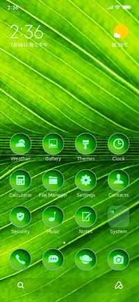 nature leaf