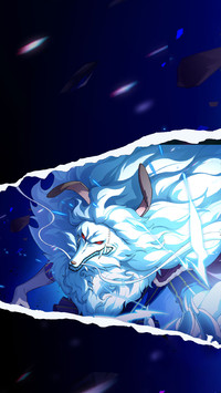 恶魔果实大揭秘