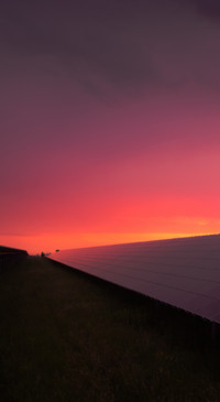 Rich Colors (23)