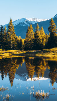 The beauty of autumn