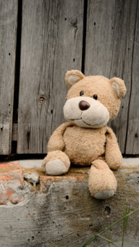 Teddy Day (4)