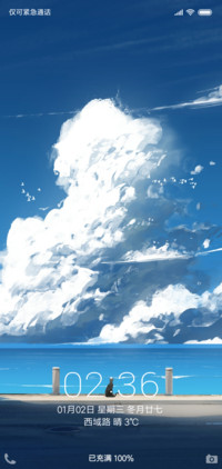 海边的小猫