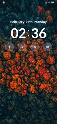 枫树护眼
