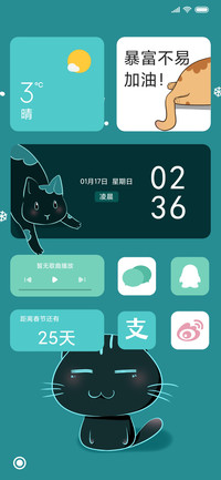 双色猫