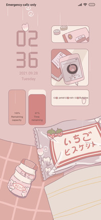 Cherry blossoms