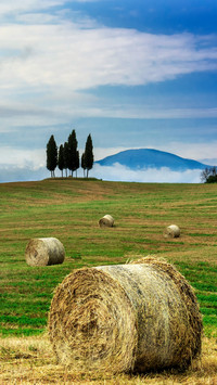 Hay harvesting