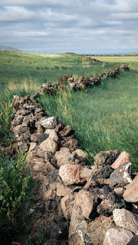 Pasture Fence
