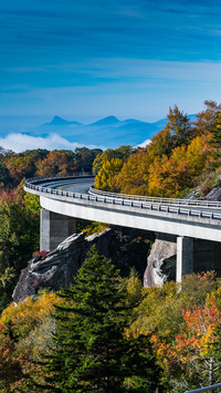 Forest road-01