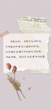 花店玫瑰名字写谁