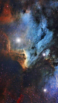 VCG41N493085548