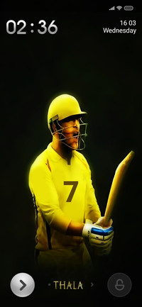 Cricket Two