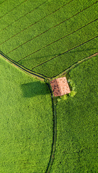 Farmland fields