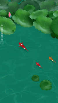 清新荷塘