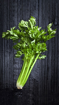What vegetables can lower blood pressure 2