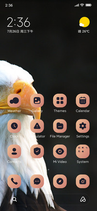 Eagle Look
