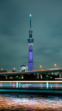 Japans top ten tourist attractions 41