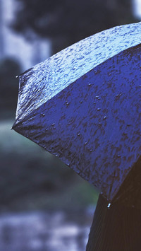 Umbrella story (12)