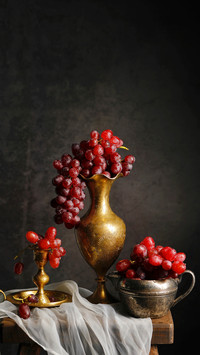 The Benefits of Grapes to the Human Body 5