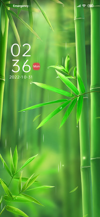 Zen+green+bamboo