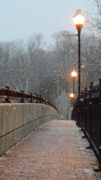 Bridges 2