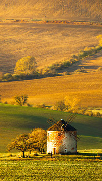 Landscape with waves hills