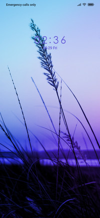 Viewpoint_DWM2