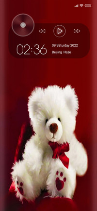 Teddy Duo