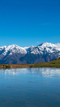 Landscape vegetation