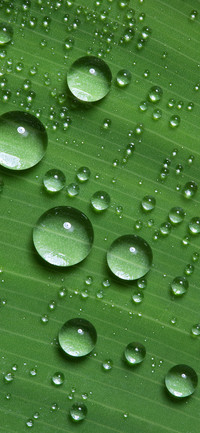 Eye protection wallpaper-PAIXIN
