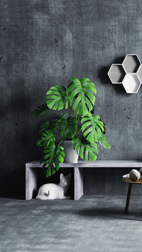 Green plants are the first choice for households with
